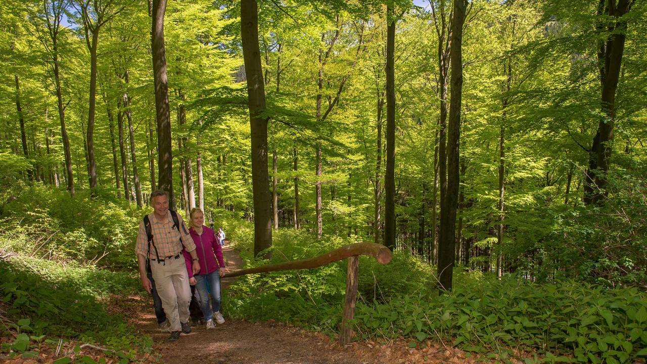 Landgasthof Seemer Eslohe Kültér fotó